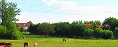 Borna Ortsteil Haubitz